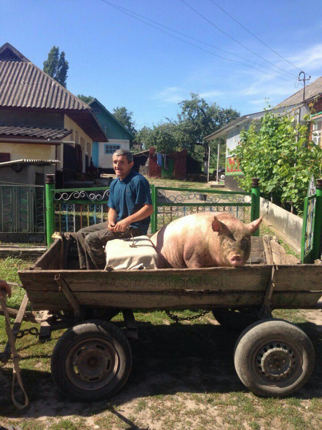 Чудики из социальных сетей