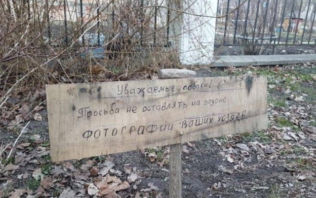 Куда катится жизнь