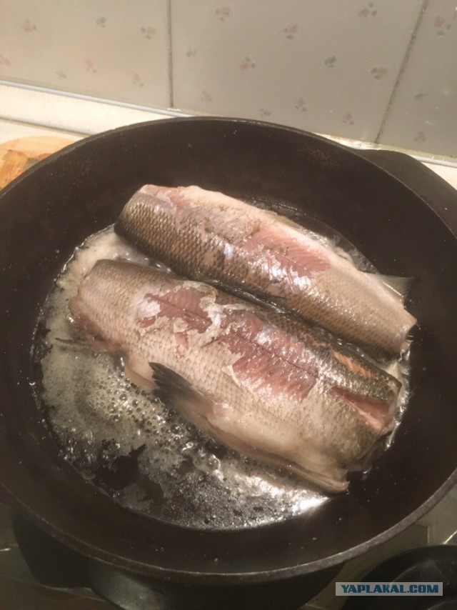 Сибаса побыстрей