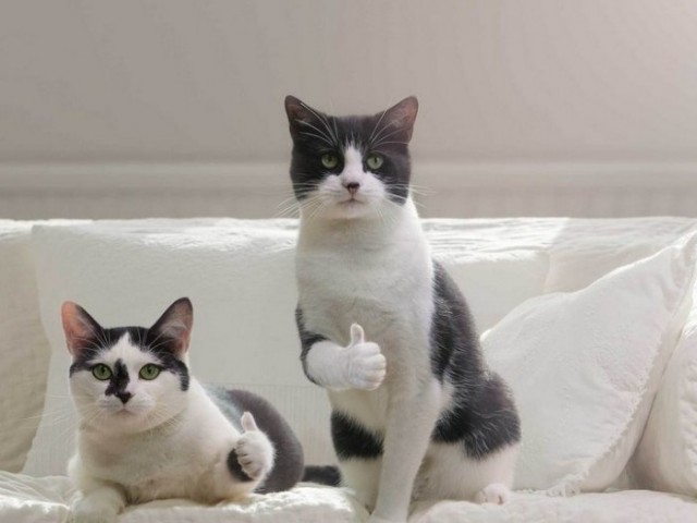 "#бать! Ах#еть! Один склад взорвался, а там их много", - на складах воинской части в Красноярском крае России детонируют боеприпасы - Цензор.НЕТ 665