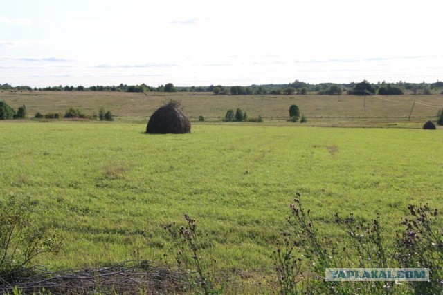 Заброшенные деревни Костромской области. Совега