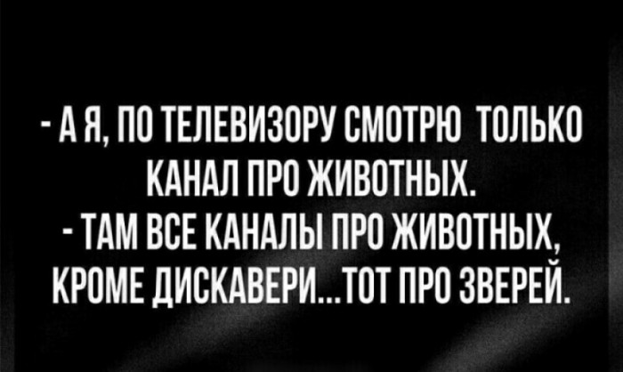 Лидер «Ногу свело!» заявил о «деградирующей российской нации»