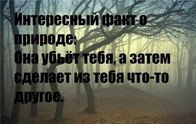 Подборка прикольных фоток