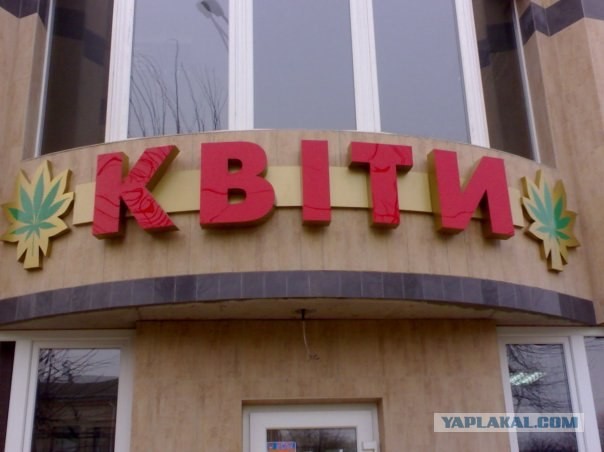 Винницкие суровые магазины