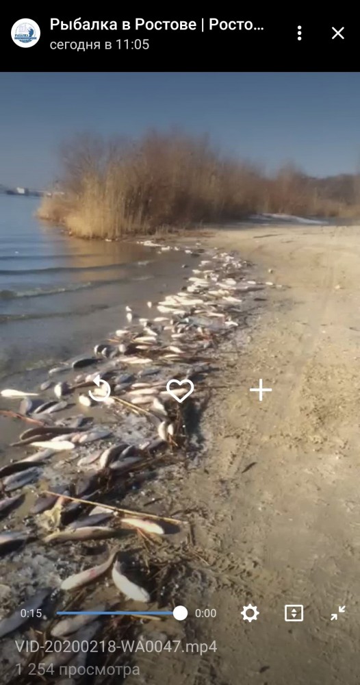 А потом удивляемся, что стало меньше рыбы