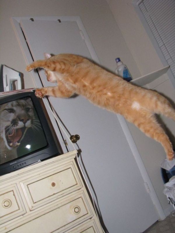 Подборка интересных и веселых картинок 19.04.20