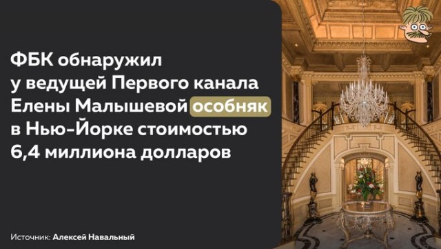 Американский дом Елены Малышевой