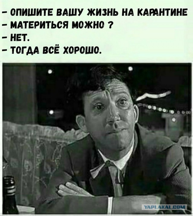 Кучка картинок №17