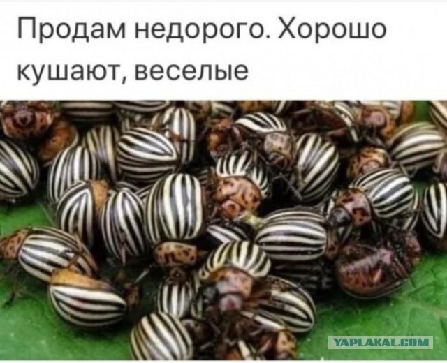 Изобретатель