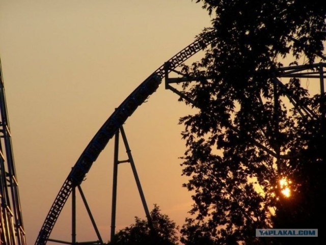 Американская горка Millenium Force (43 фото+видео)