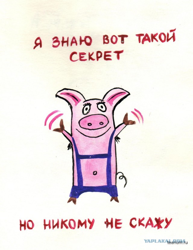 Как я опозорился