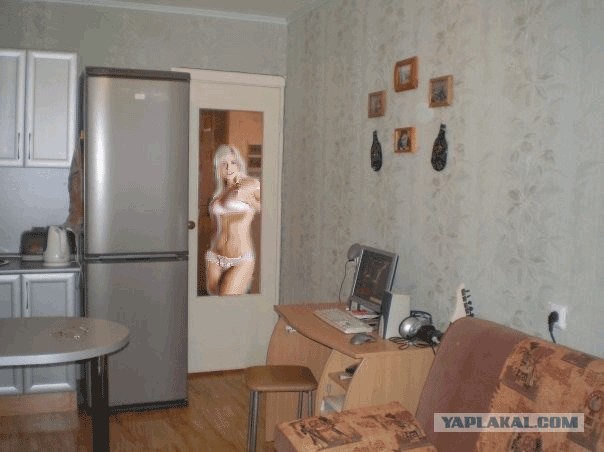 Найди кота