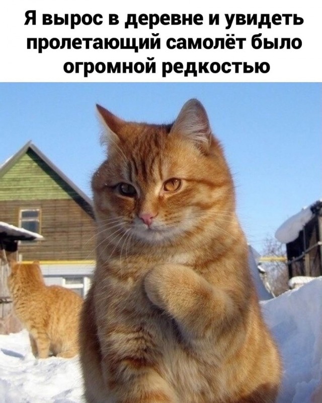 Деревенский vs городской