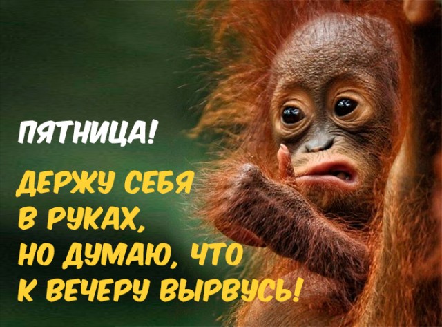 Картинки и мемы для настроения 015