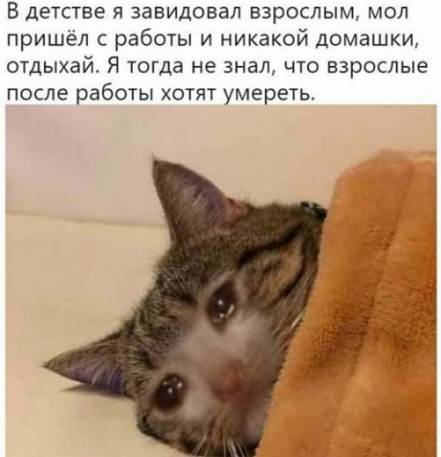 Немного картинок с надписями и без - 15.03.2021