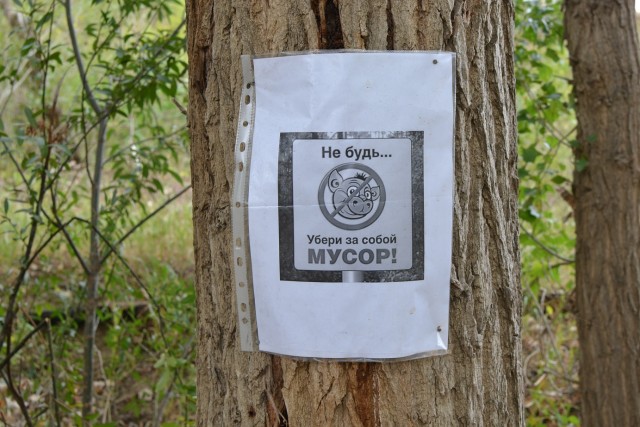 Про рыбалку, мой крик души