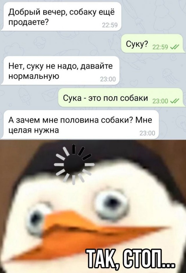 Картинки и мемы для настроения 13.10.2021
