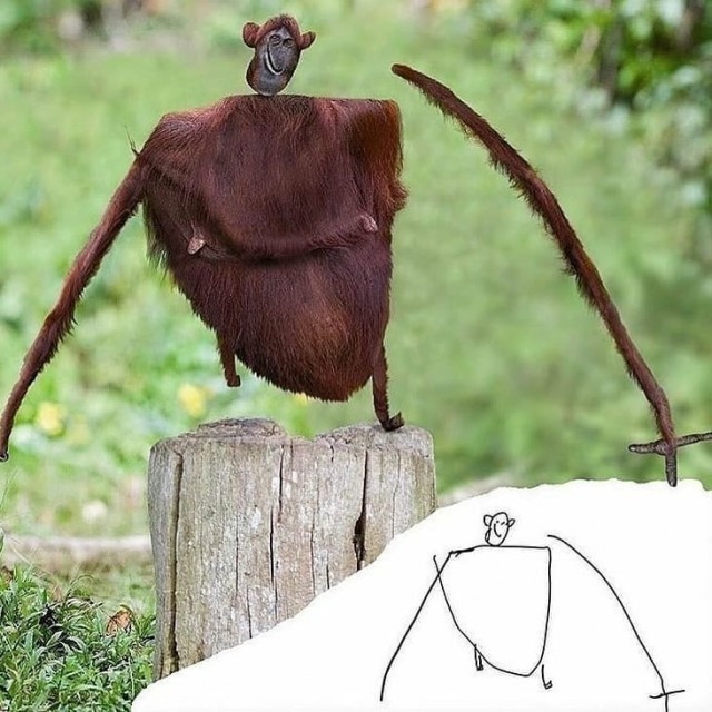 Я художник, я так вижу