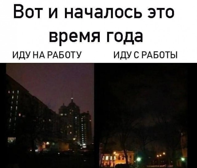 Так себе картинки 15.11.21