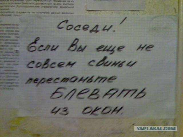 Крик души