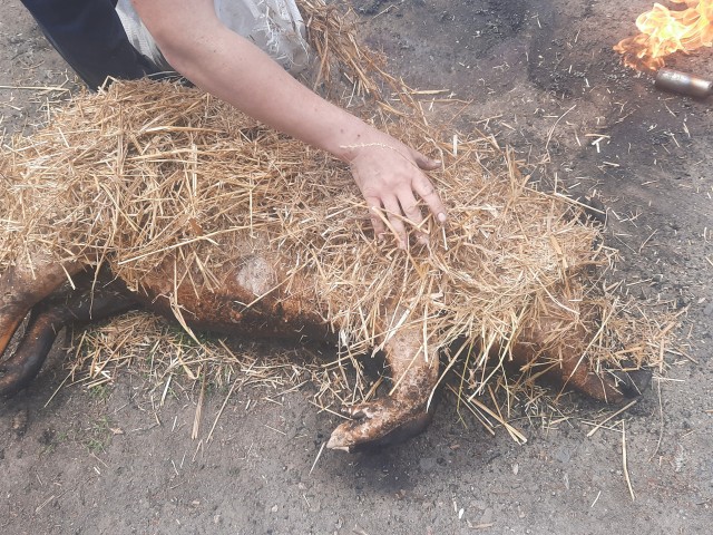 Про стоимость сала.