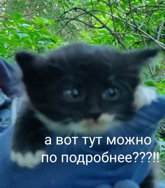 Русский изобретатель Будённый Анатолий Павлович, который находится в тяжёлом положении!