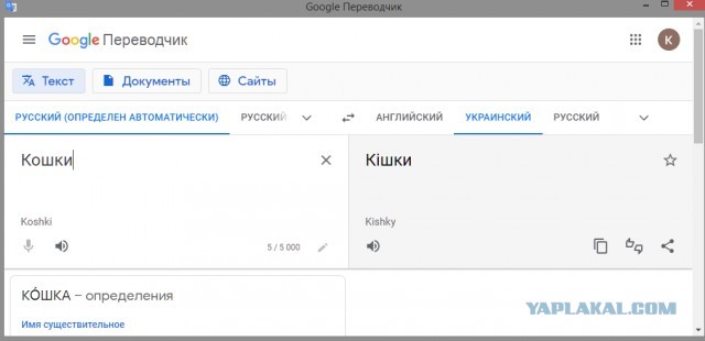 Кошки в Киеве