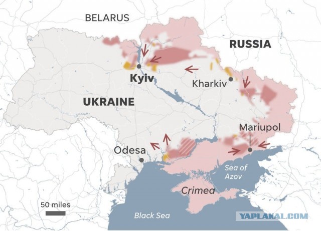 Пандемия. Коронавирус и съехавшие крыши. Россия и мир. Часть 32.