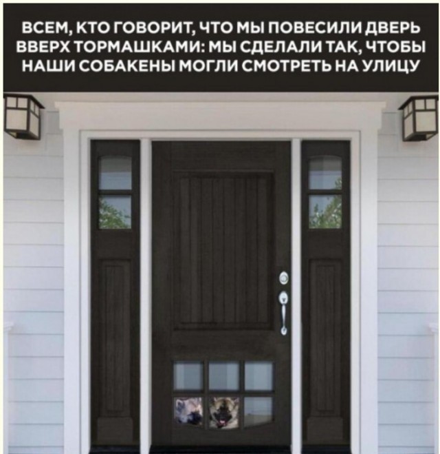 Баянисто-небаянистый юмор 7.06.22
