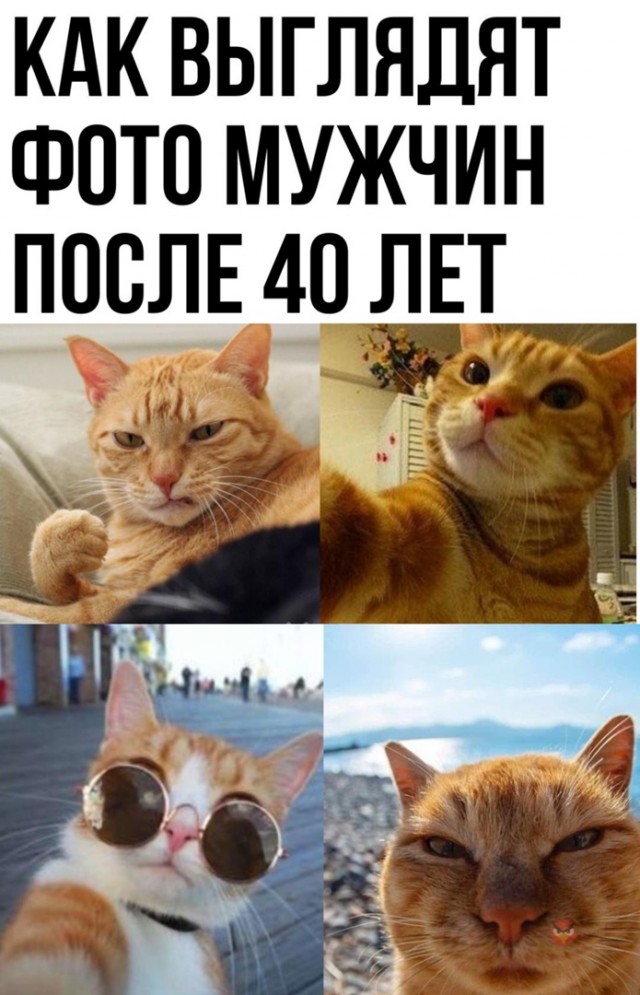 Так себе картинки 22.07.22