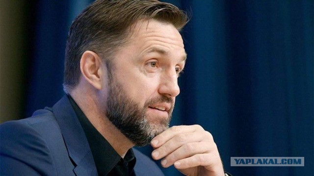 В мире животных