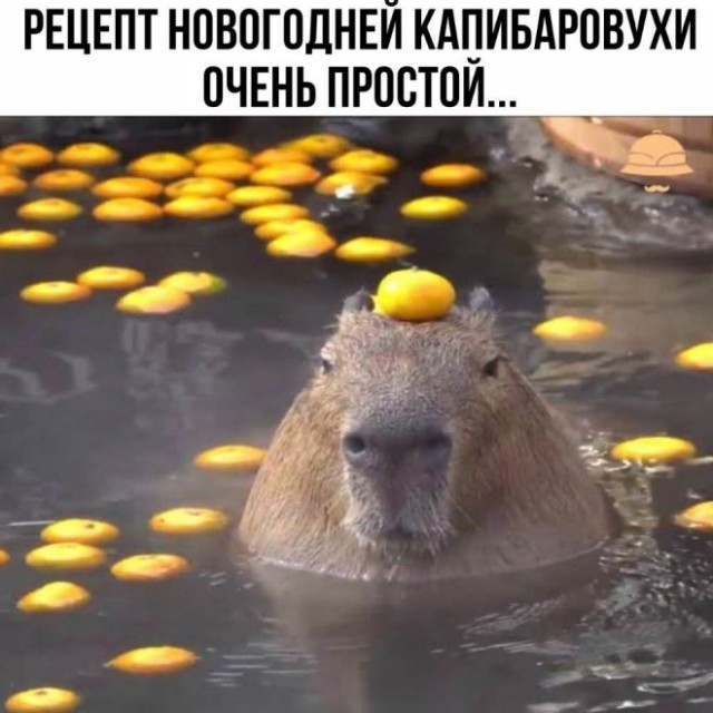 Картинки и мемы, всем хороших выходных