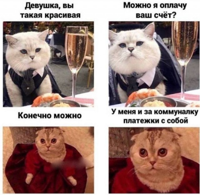 Картинки и мемы. Выходные близко...