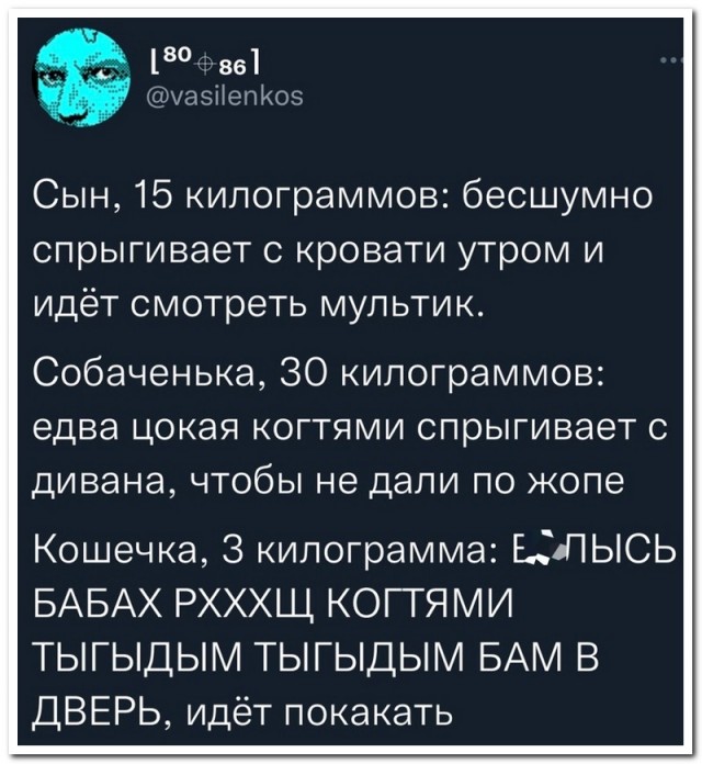 Забавные комментарии из социальных сетей (09.01.23)