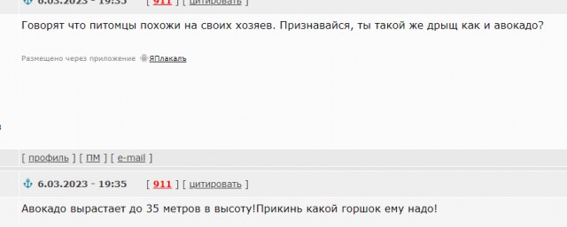 Про цветы домашние