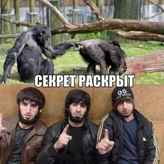 Мигранты захотели женской ласки