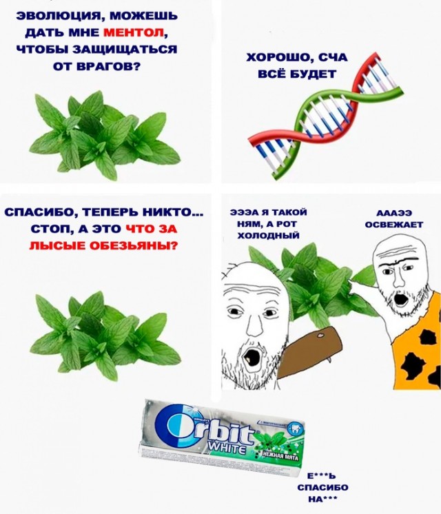 Весёлый полтишок 23.07.23