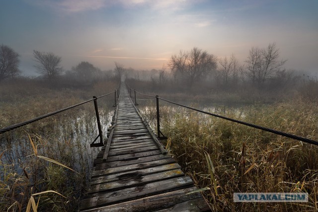 Увидел это фото, решил сюда притащить...
