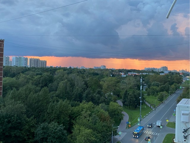 Красивые фото ЯПа