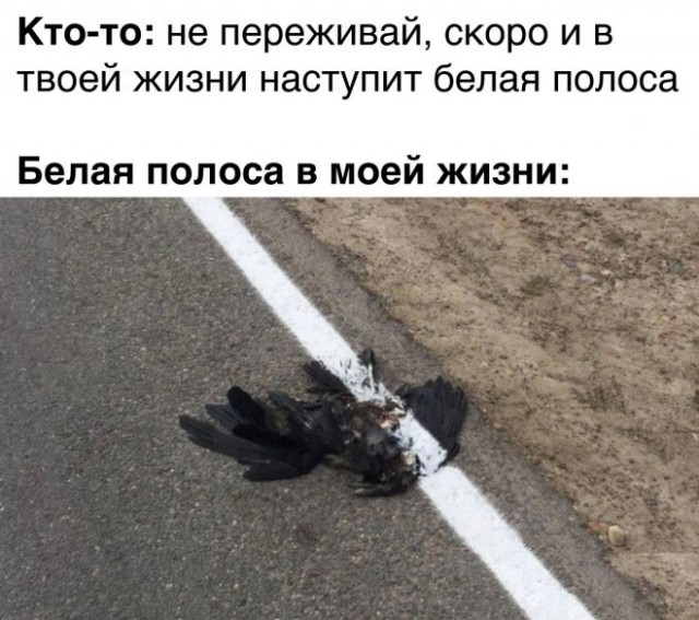 Всего понемногу. От 15.11.23