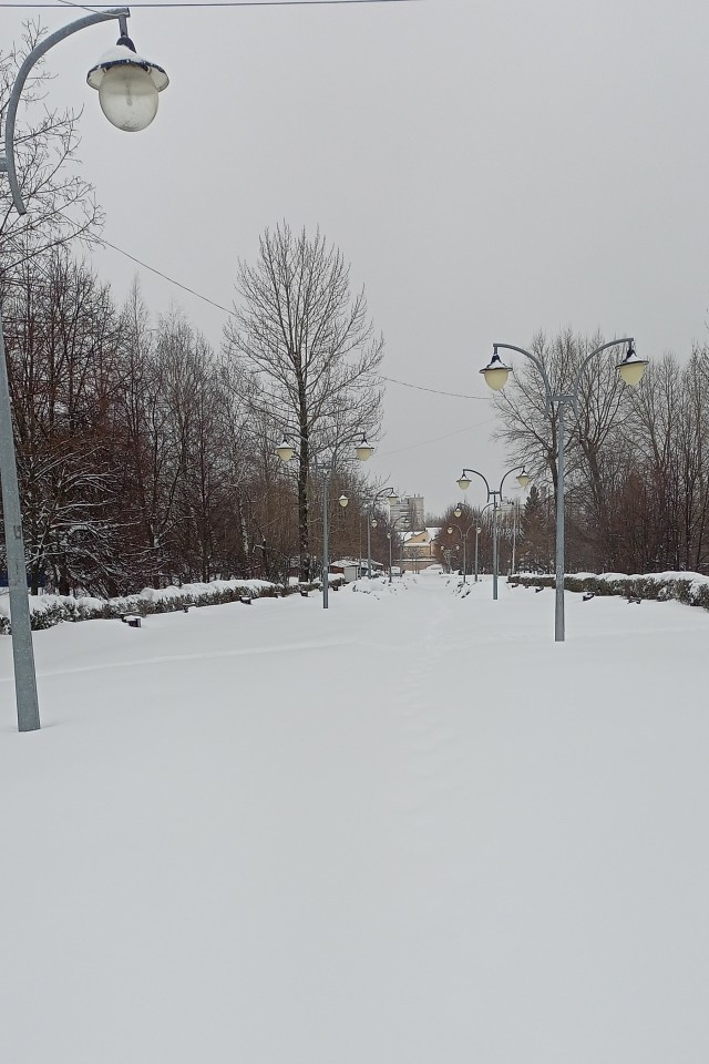 Зимняя красота