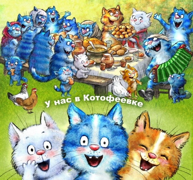 Немного котов из Минска