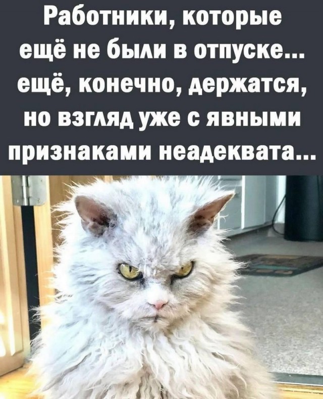 Завалялось тут случайно немного забавных картинок