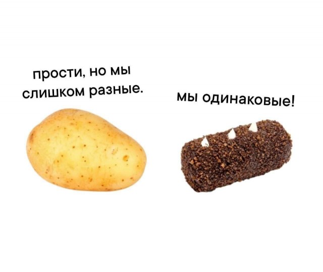 Весёлый полтишок 22.07 24