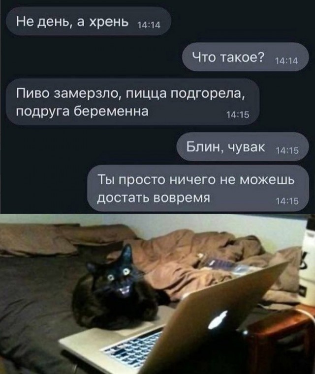 Так себе картинки 25.08.24