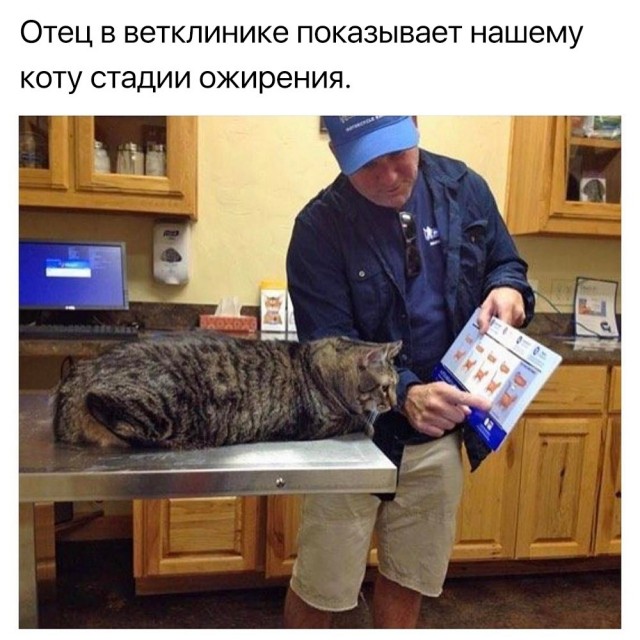 Так себе картинки 19.10.24
