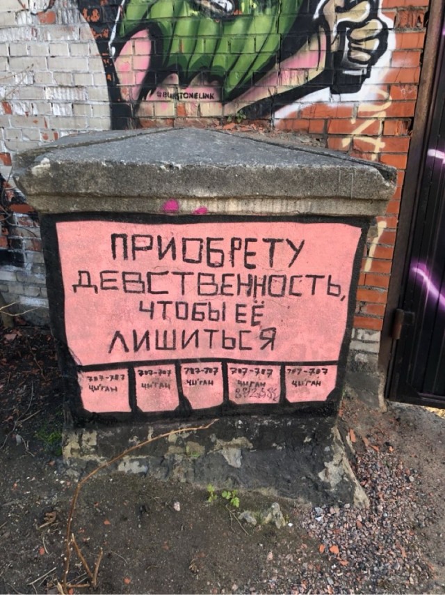 Прикольные и просто красивые картинки 10.01.2025