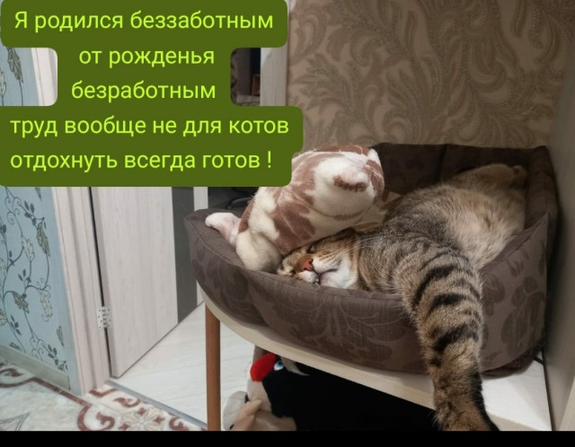 Сегодня отмечается Всемирный день безработных