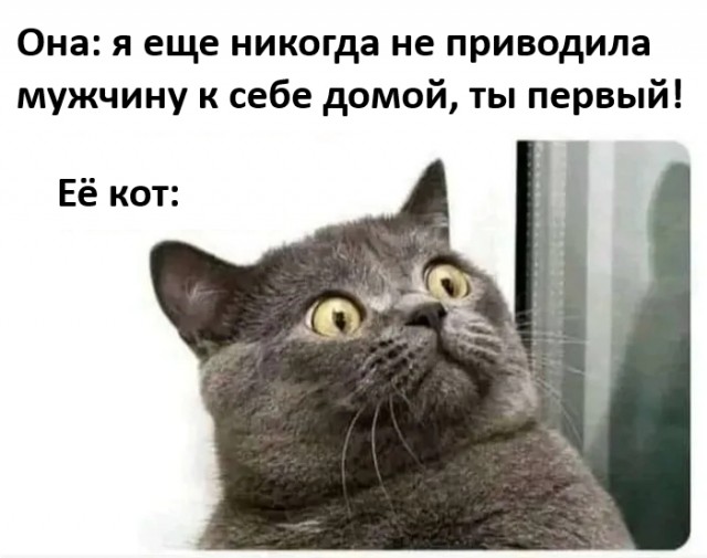 Веселые картинки в пятницу (07.02)