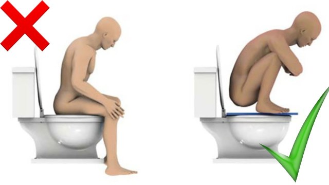 Ученые выяснили, как поход в туалет может улучшить  умственные способности